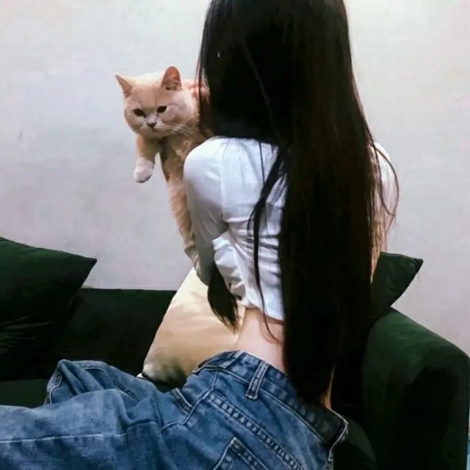 如何阻止强盗